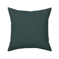 Dark Pewter Green Solid Color