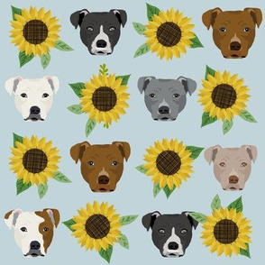 pitbull face sunflower fabric - dog fabric, dog head, sunflowers fabric, pitbulls - light blue