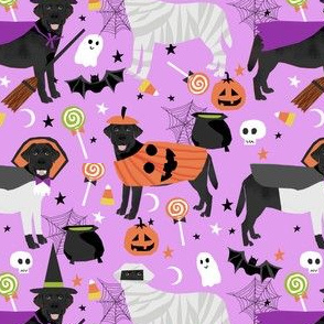 black lab halloween fabric - dog halloween fabric, dog costume, black labrador -  light purple