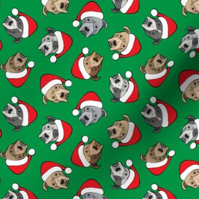 (small scale) All the pit bulls - Santa hats - Christmas Dog (green) C19BS