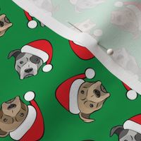 (small scale) All the pit bulls - Santa hats - Christmas Dog (green) C19BS