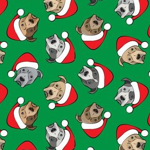 (small scale) All the pit bulls - Santa hats - Christmas Dog (green) C19BS