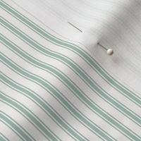 Ticking Stripe in Beach Glass