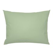 Light Sage Green Solid Color