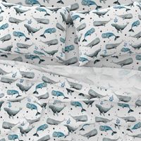 Swimming Whales White Ground (Medium Scale)