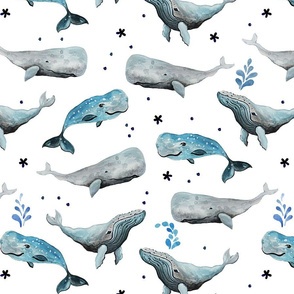 Swimming Whales White Ground (Medium Scale)