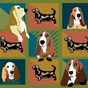 The basset Hounds