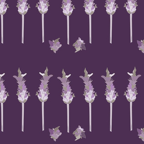 Lavender Rows - Purple.