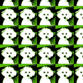 Retro Bichon-ch-ed