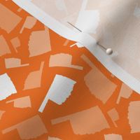 Oklahoma State Shape Pattern Orange and White