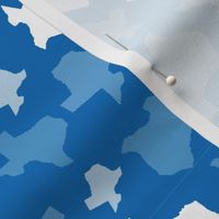 Texas State Outline Shape Pattern Blue and White