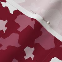 Texas State Outline Shape Pattern Garnet and White