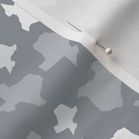 Texas State Outline Shape Pattern Grey and White