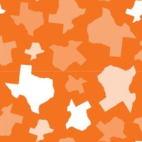 Texas State Outline Shape Pattern Orange  and White