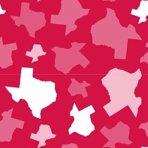 Texas State Outline Shape Pattern Red and White