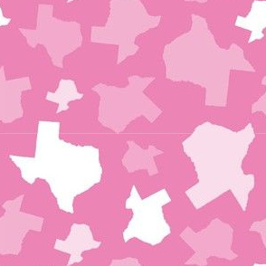 Texas State Shape Pink-01-01