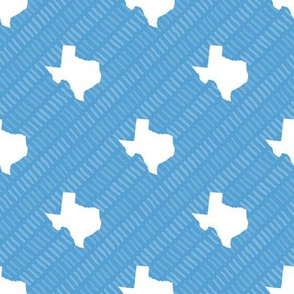 Texas State Shape Pattern Light Blue and White