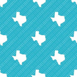 Texas State Shape Pattern Teal and White