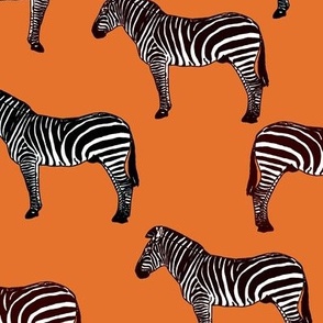 Zebra (orange)