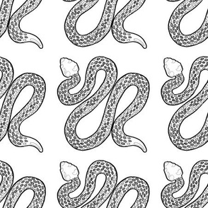 Black Ink Snakes 