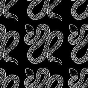 White Ink Snakes on Black