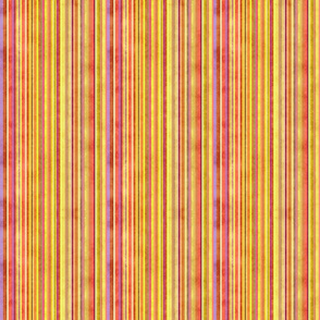 Stonewashed Multicolored stripe, yellows