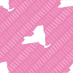 New York State Outline Stripe Pattern Pink  and White