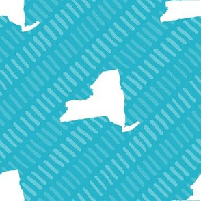 New York State Outline Stripe Pattern Teal and White
