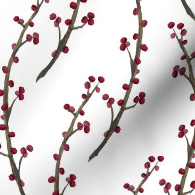 Red Berry Branches on White