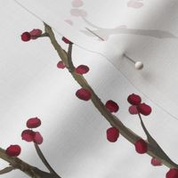 Red Berry Branches on White