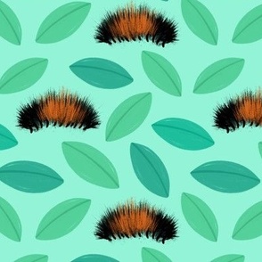 Woolly Worms