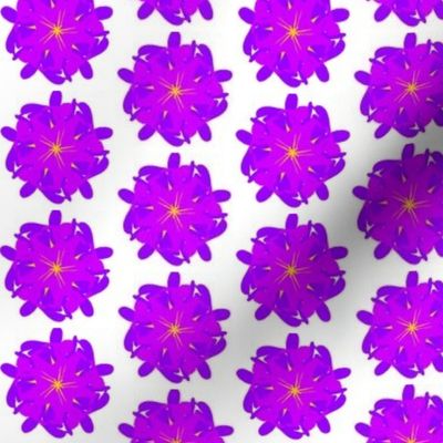 Little Wonder Funky Purple Flower