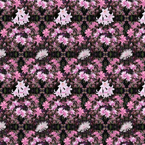 Pink on Black Daisy and Lily Trellis