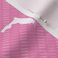 Florida State Shape Pattern Pink and White Stripes