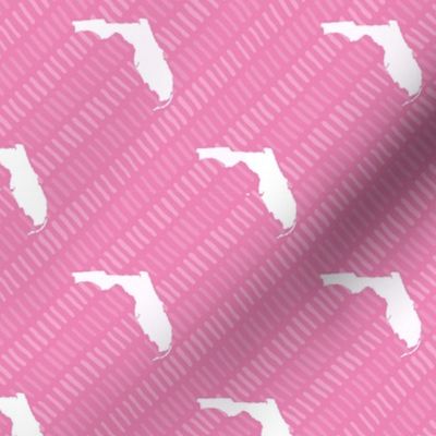 Florida State Shape Pattern Pink and White Stripes