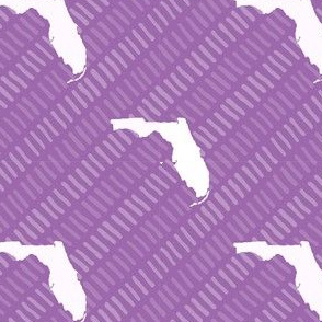 Florida State Shape Pattern Purple and White Stripes