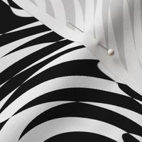 Black and White Swirl - Dizzy Zebra