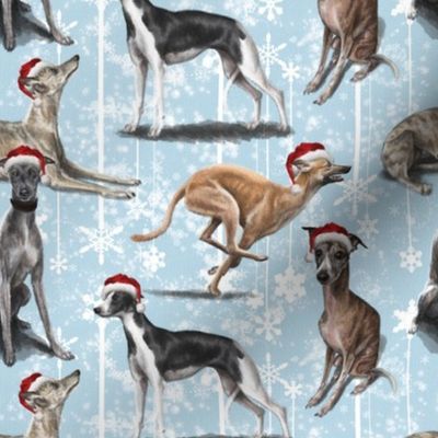 The Christmas Whippet