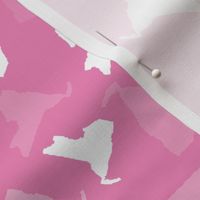 New York State Outline Shape Pattern Pink and White