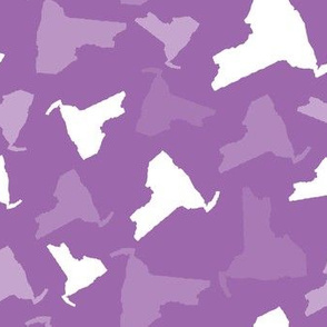 New York State Outline Shape Pattern Purple and White