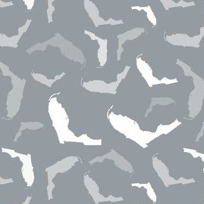 Florida State Shape Pattern Grey