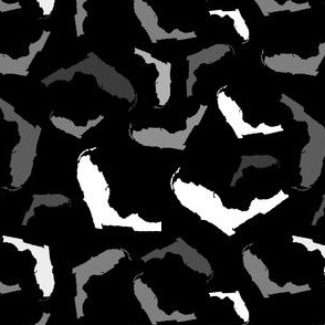 Florida State Shape Pattern Black and White