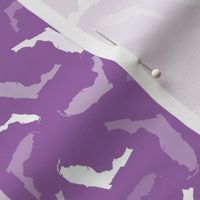 Florida State Shape Pattern Purple