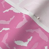 Florida State Shape Pattern Pink