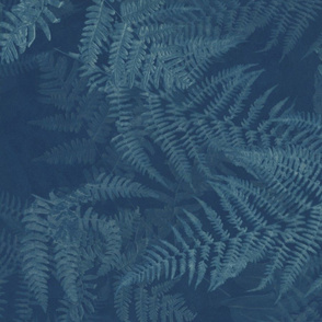 Cyanotype Ferns--Dark and Bright