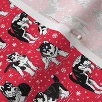 Husky puppies and snowflakes on red 3x3