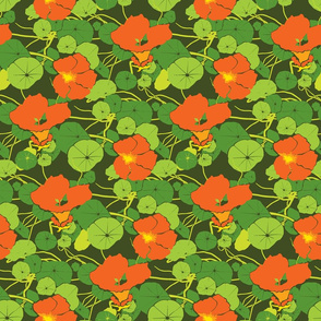 nasturtium_olive