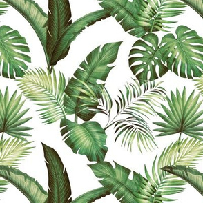 Fronds - White/Green