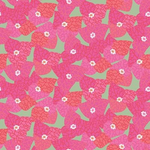 pink bougainvillea flowers pattern