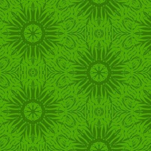 Starbursts of Lime Shadows on Tangy Lime